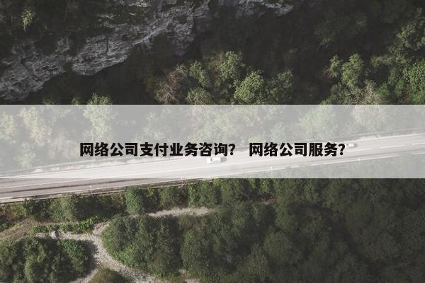网络公司支付业务咨询？ 网络公司服务？