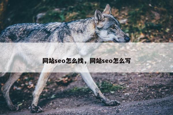 网站seo怎么找，网站seo怎么写