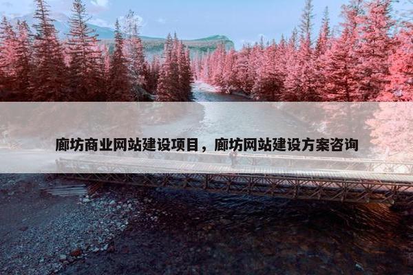 廊坊商业网站建设项目，廊坊网站建设方案咨询