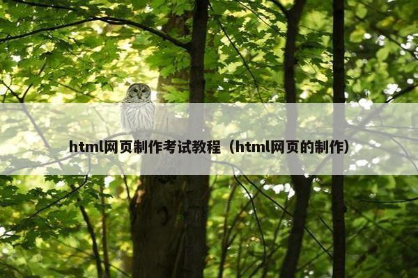 html网页制作考试教程（html网页的制作）