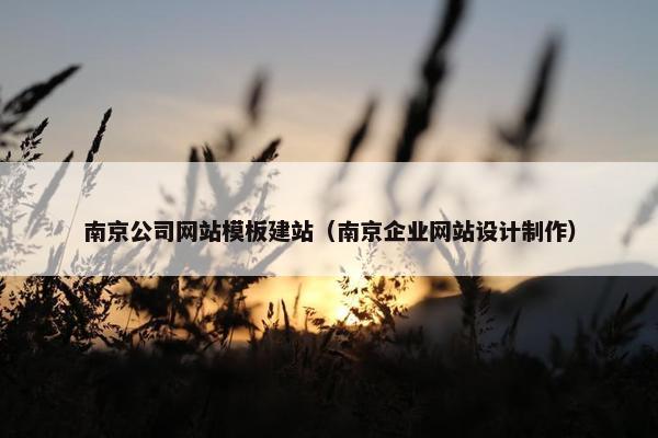 南京公司网站模板建站（南京企业网站设计制作）