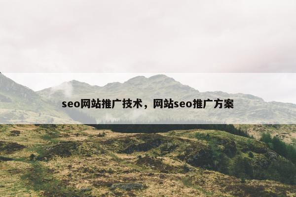 seo网站推广技术，网站seo推广方案