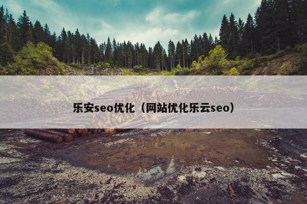 乐安seo优化（网站优化乐云seo）