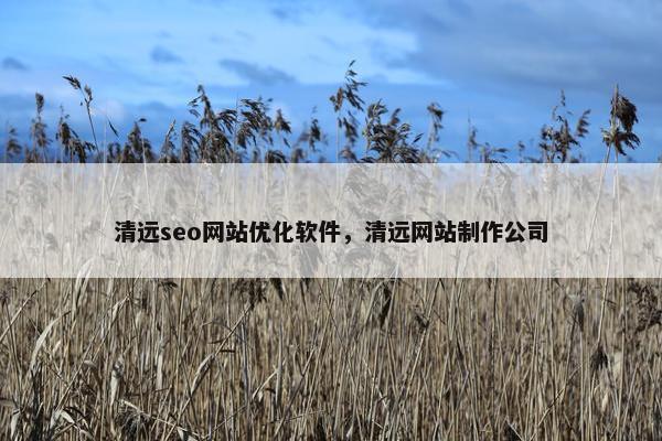 清远seo网站优化软件，清远网站制作公司
