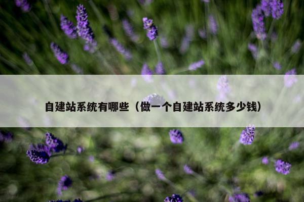 自建站系统有哪些（做一个自建站系统多少钱）