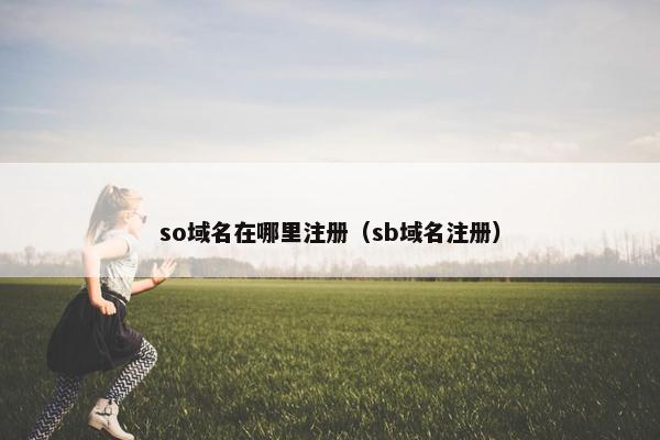 so域名在哪里注册（sb域名注册）