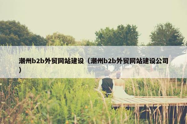 潮州b2b外贸网站建设（潮州b2b外贸网站建设公司）