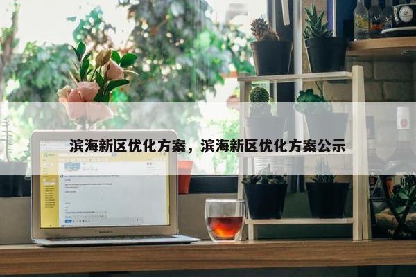 滨海新区优化方案，滨海新区优化方案公示