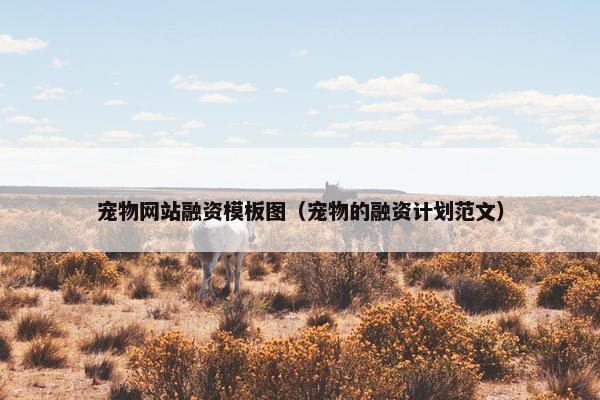 宠物网站融资模板图（宠物的融资计划范文）