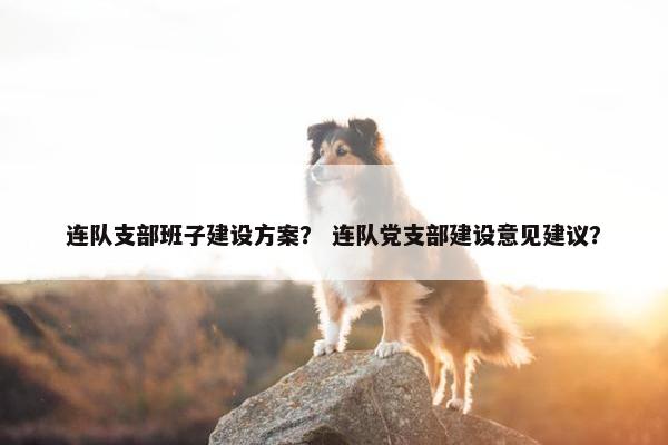 连队支部班子建设方案？ 连队党支部建设意见建议？