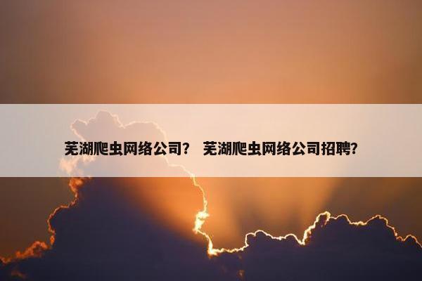芜湖爬虫网络公司？ 芜湖爬虫网络公司招聘？