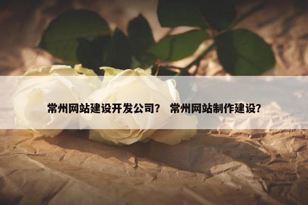 常州网站建设开发公司？ 常州网站制作建设？
