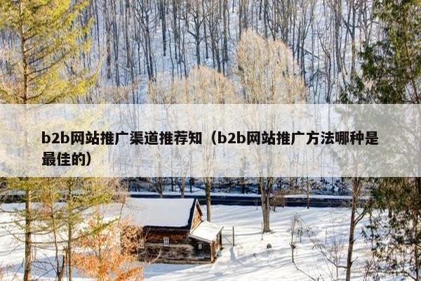 b2b网站推广渠道推荐知（b2b网站推广方法哪种是最佳的）