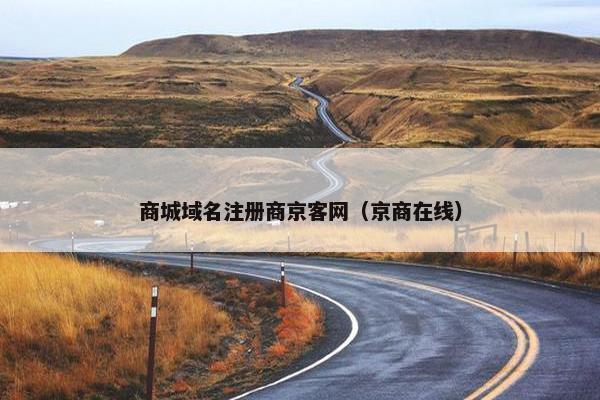 商城域名注册商京客网（京商在线）