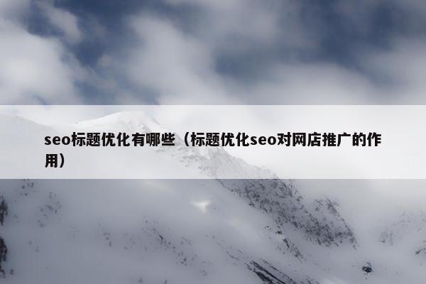 seo标题优化有哪些（标题优化seo对网店推广的作用）