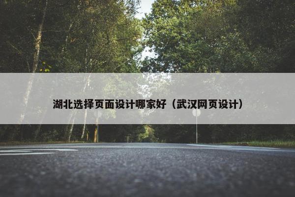 湖北选择页面设计哪家好（武汉网页设计）