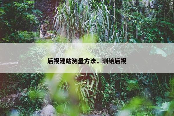 后视建站测量方法，测绘后视