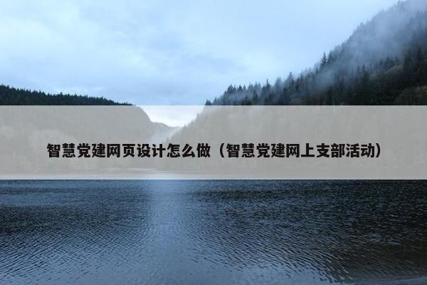 智慧党建网页设计怎么做（智慧党建网上支部活动）