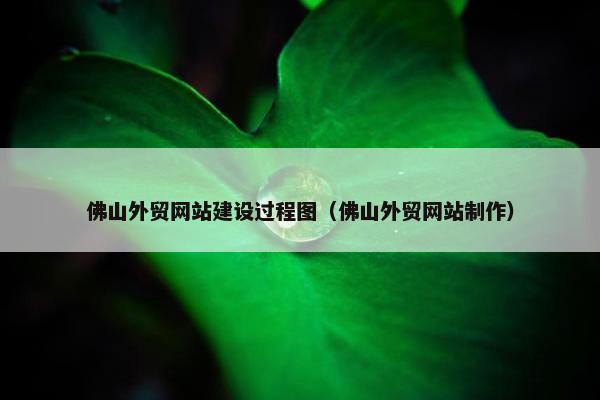 佛山外贸网站建设过程图（佛山外贸网站制作）