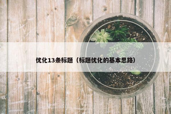优化13条标题（标题优化的基本思路）