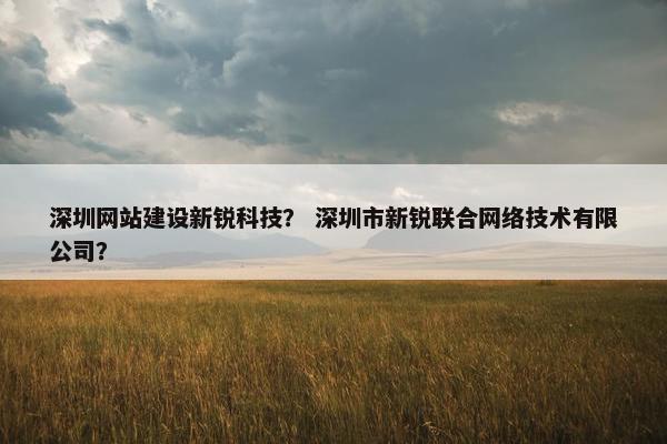 深圳网站建设新锐科技？ 深圳市新锐联合网络技术有限公司？