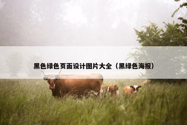 黑色绿色页面设计图片大全（黑绿色海报）