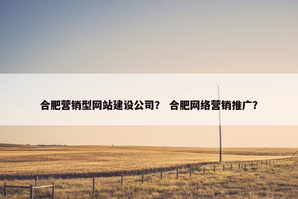合肥营销型网站建设公司？ 合肥网络营销推广？