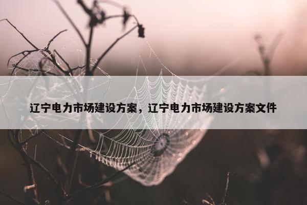 辽宁电力市场建设方案，辽宁电力市场建设方案文件