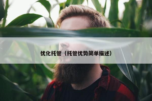 优化托管（托管优势简单描述）