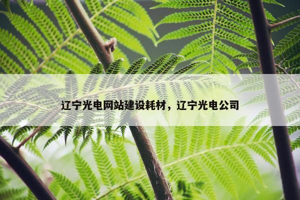 辽宁光电网站建设耗材，辽宁光电公司