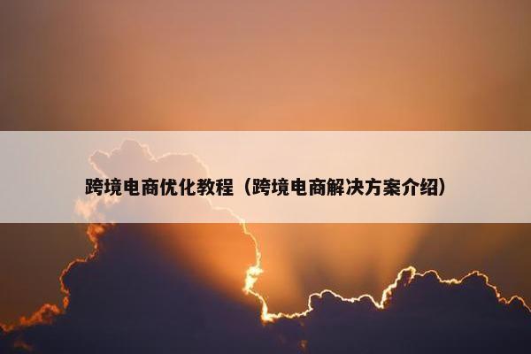 跨境电商优化教程（跨境电商解决方案介绍）