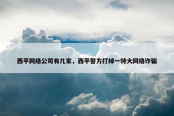 西平网络公司有几家，西平警方打掉一特大网络诈骗