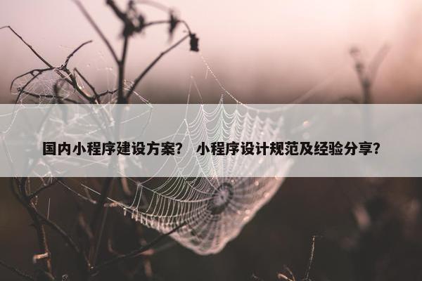 国内小程序建设方案？ 小程序设计规范及经验分享？