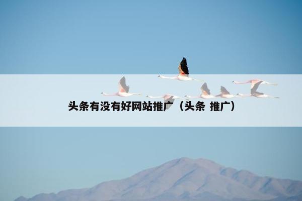 头条有没有好网站推广（头条 推广）