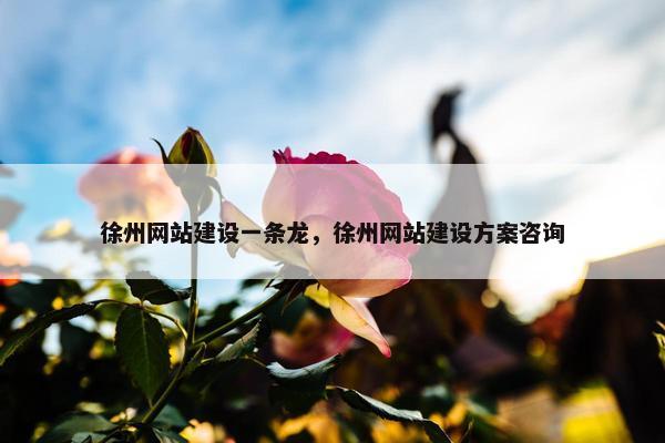 徐州网站建设一条龙，徐州网站建设方案咨询