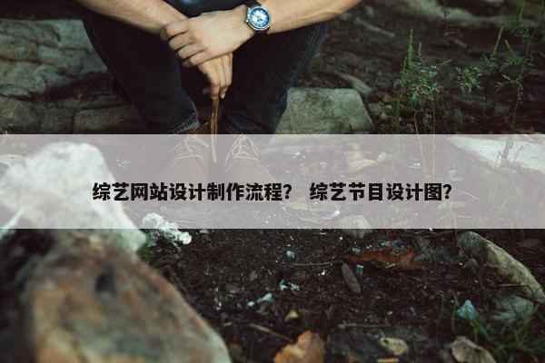 综艺网站设计制作流程？ 综艺节目设计图？