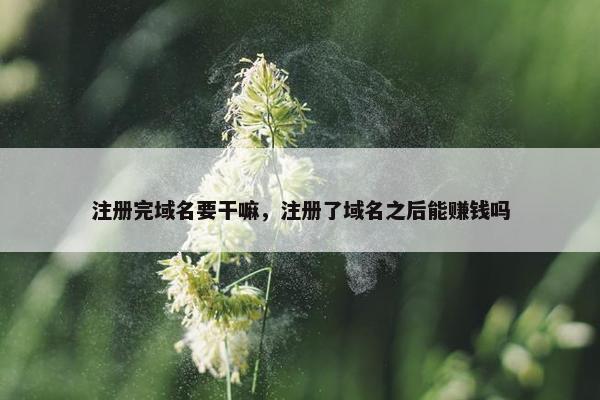 注册完域名要干嘛，注册了域名之后能赚钱吗
