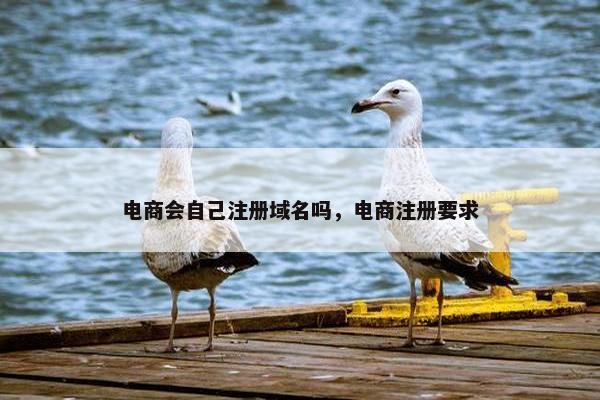 电商会自己注册域名吗，电商注册要求