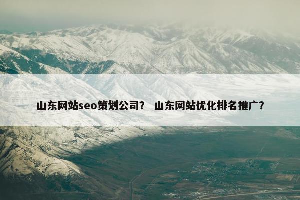 山东网站seo策划公司？ 山东网站优化排名推广？