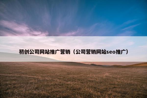 初创公司网站推广营销（公司营销网站seo推广）