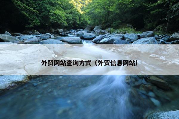 外贸网站查询方式（外贸信息网站）