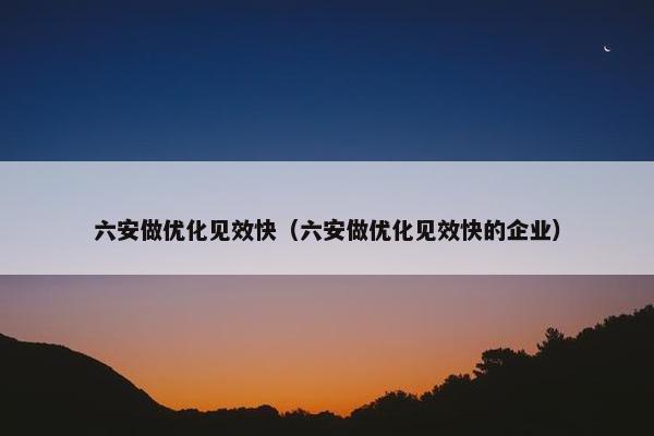 六安做优化见效快（六安做优化见效快的企业）