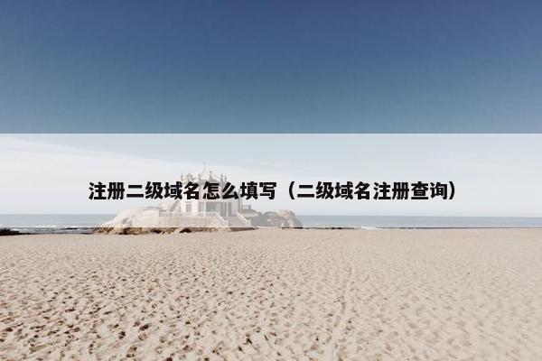 注册二级域名怎么填写（二级域名注册查询）