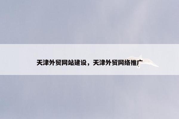 天津外贸网站建设，天津外贸网络推广