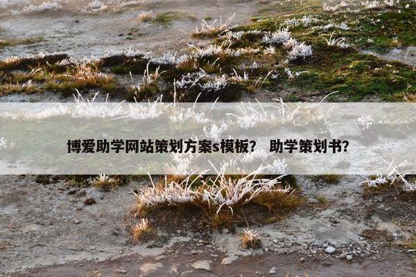博爱助学网站策划方案s模板？ 助学策划书？