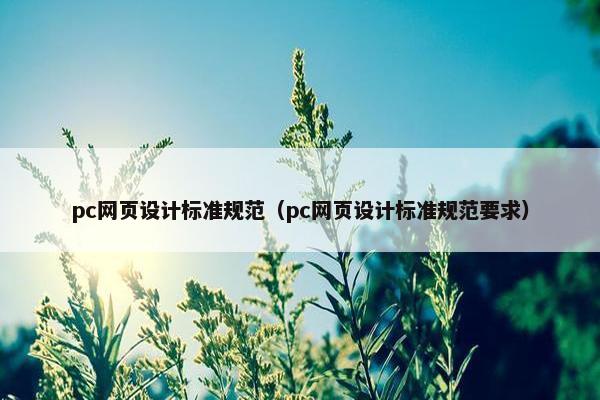 pc网页设计标准规范（pc网页设计标准规范要求）