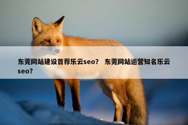 东莞网站建设首荐乐云seo？ 东莞网站运营知名乐云seo？