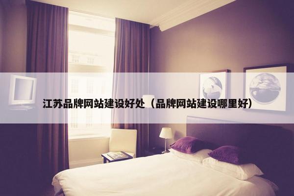江苏品牌网站建设好处（品牌网站建设哪里好）