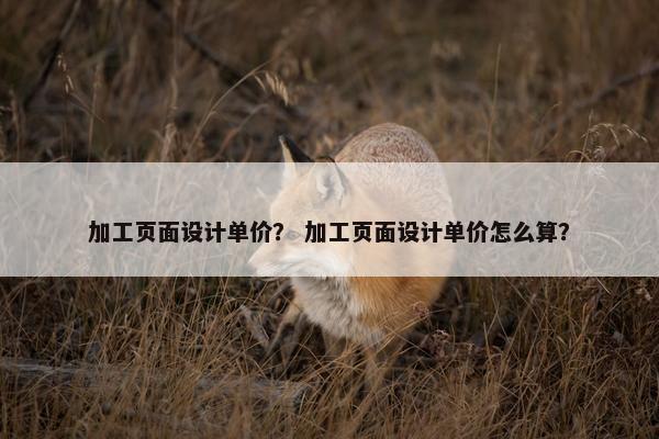 加工页面设计单价？ 加工页面设计单价怎么算？