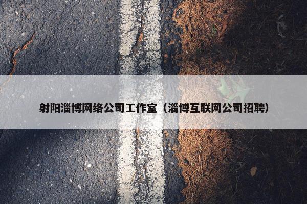 射阳淄博网络公司工作室（淄博互联网公司招聘）